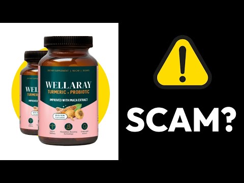 wellaray glp-1 probiotic Support + Protein Stack 1 Probiotic+ offers a distinct blend of probiotics and prebiotics all Wellaray Review - Is It