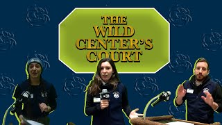 Reptiles vs. Amphibians | Nature Lab 3.15.2021