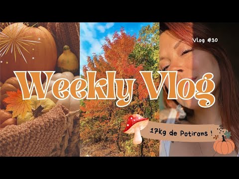 WEEKLY VLOG 30: I COME HOME WITH 17 KG OF PUMPKINS!