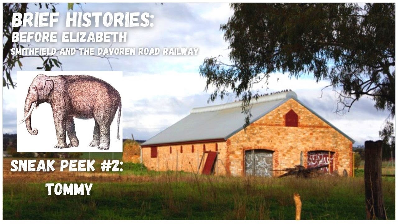 Sneak Peek 2: Before Elizabeth - A Brief History of Smithfield & The Davoren Road Railway