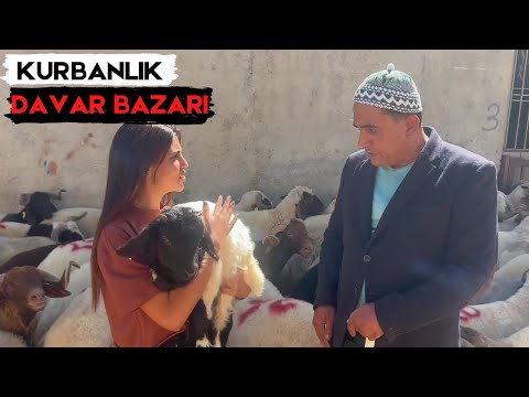 Heyri  Davarbazarı - Gurbanlık Satışı Başlamıştır :) | Orhan Uslu