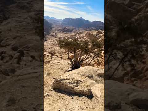 وادي موسى اليتراء الاردن عمان طريق النملة اليتراء القديمة