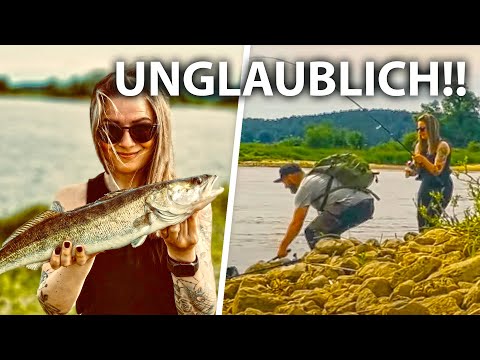 DAS gibts NICHT! Zander BEIßT tatsächlich NOCHMAL! Zander Angeln von der Buhne im Fluss @SpartanFishing