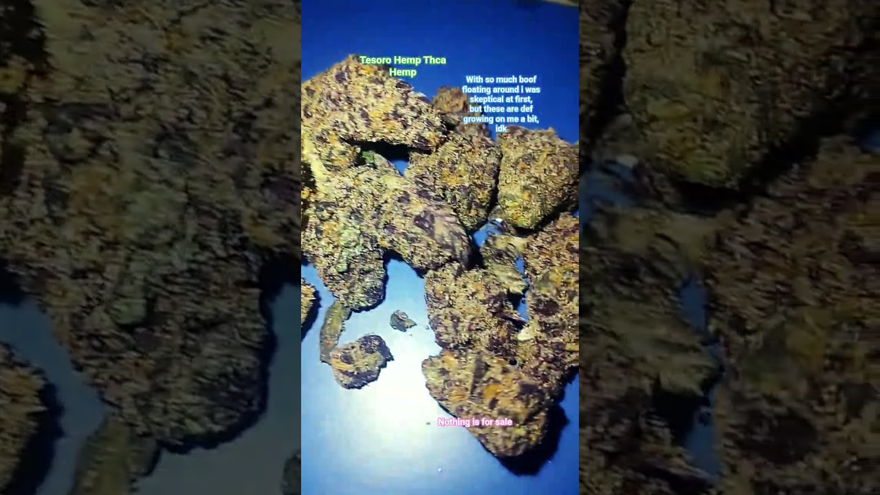 Tesoro Hemp THCA Hemp Flower