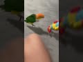 Why does it jump along?