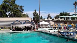 301C-1M 2016 Santa Clara Diving Invitational 6-18-16