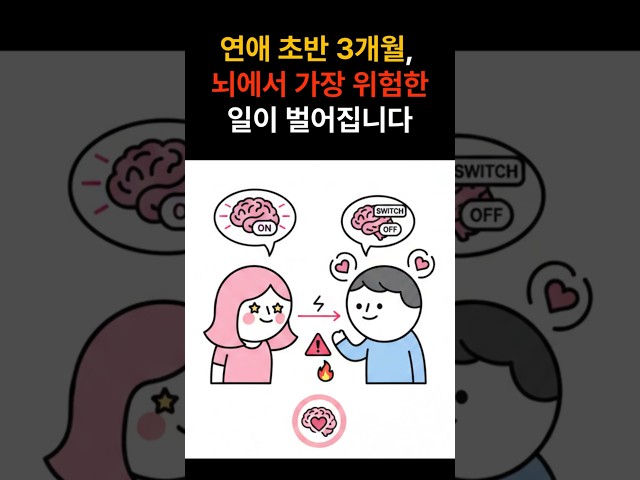 연애 시작 3개월 동안 당신의 뇌가 마약 중독자와 똑같이 변한다는 충격적인 사실 #연애심리 #연애 #연애하는법 #연애코치 #뇌과학