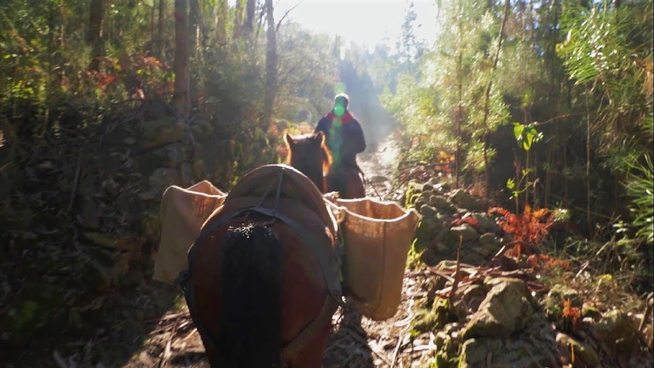 Finca Moreiras - Así se elaboraba el auténtico pan gallego