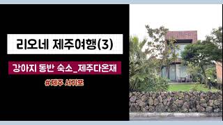 리오네 제주여행(3)_강아지 동반 숙소 제주다온재