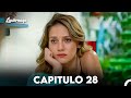 Luciérnaga Capitulo 28 (Doblado en Español) FULL HD