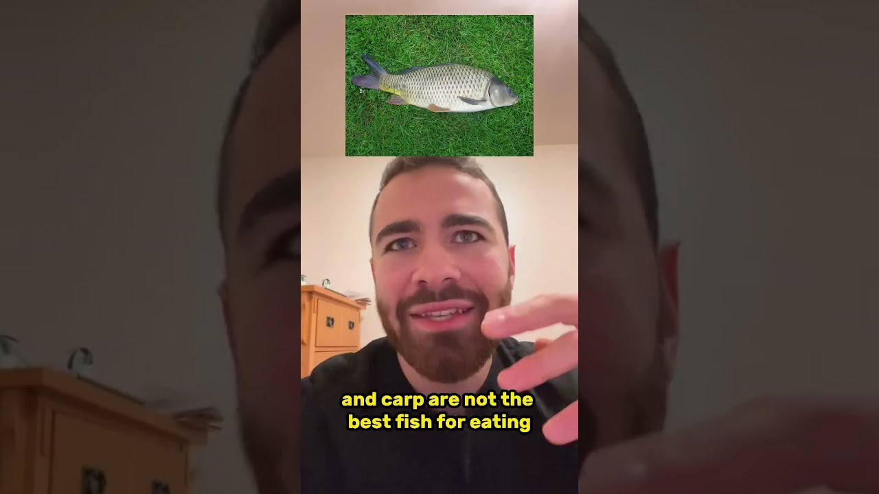 Can You EAT Goldfish 