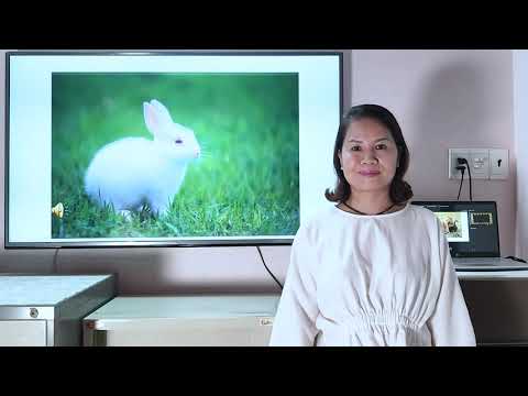 Bài giảng trực tuyến Thứ hai ngày 30/03/2020 Môn Luyện từ và câu - Lớp 2.