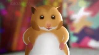Video thumbnail of "Tanecna verze Dedoles Song  Reklama na Ponozky - Animovane Pohadky a Detske Pisnicky"