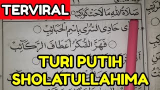 TURI PUTIH Versi SHOLAWAT DIBA ~ SHOLATULLAHIMA LAHAT KAWAKIB| Belajar Lagu Dibaan Barzanji PEMULA
