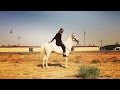 Moving your horse and stopping him easily / تحريك الحصان وإيقافه بسهولة