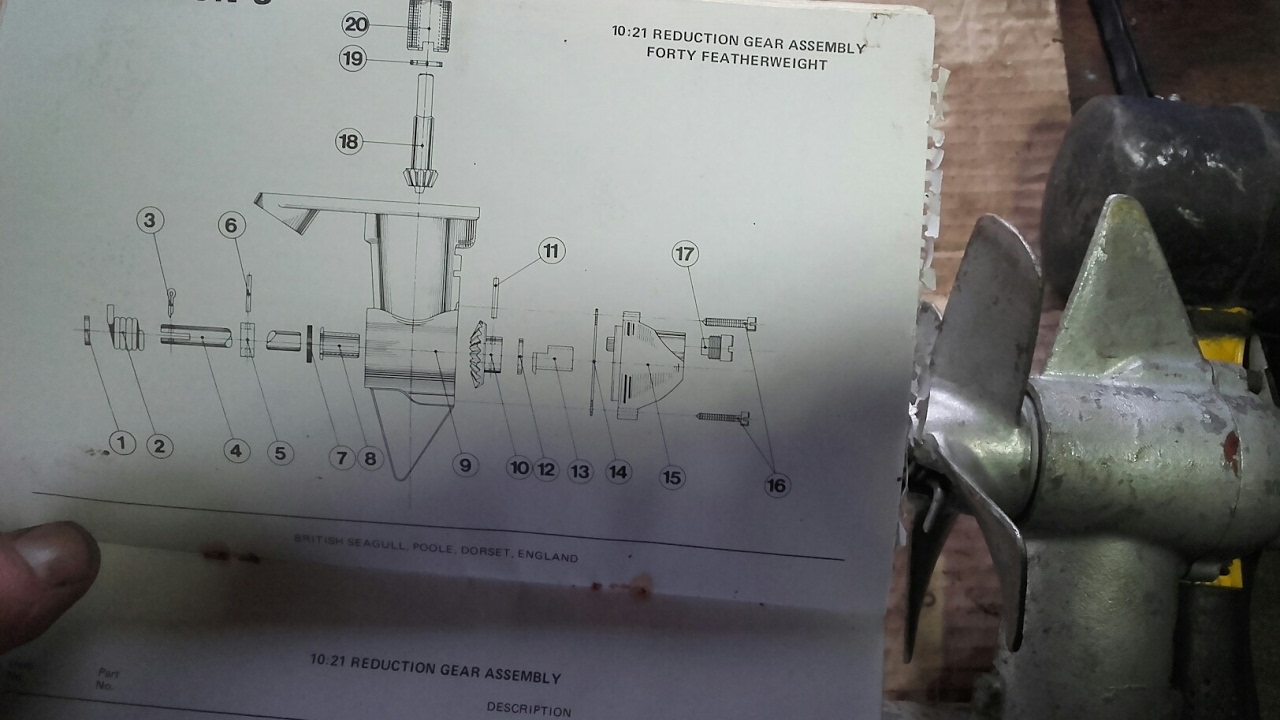 Gearbox dismantle seagull outboard featherweight 40plus YouTube