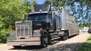 30+ MINUTES OF TRUCK SPOTTING AT D AVENUE - Cattle Trucks, Largecars, & The Rubber Duck!