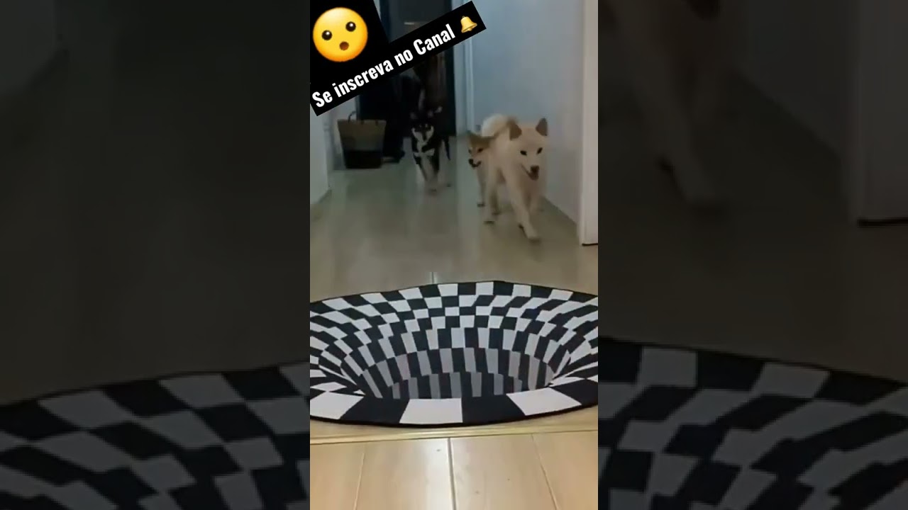 Tapete 3D - Cachorro pulando tapete 3D - Shorts