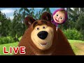 🔴 LIVE STREAM! 👍 माशा एंड द बेयर 👧🐻 एक साथ ज्यादा मजेदार है 🎾🛬 Masha and the Bear in Hindi