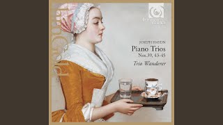 Piano Trio No. 39: III. Rondo 'in the Gipsies' stile' - Presto