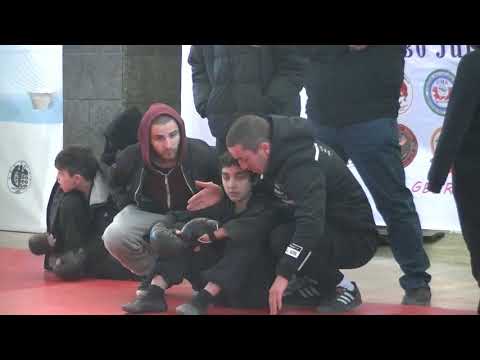 გეგი შავრეშიანი 1 კრივი