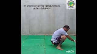 84° Treino de Capoeira com Mestre Ganso - Tutorial Macaco
