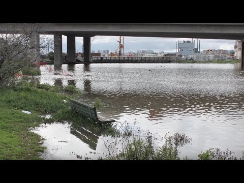 The Climate is Changing but How’s the Weather? | California Academy of Sciences