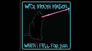 Wide Mouth Mason - When I Fell For You