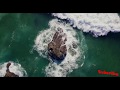 For Relaxing, Sleeping or Meditating|Peaceful Water Sounds