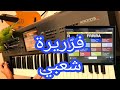 بدقيقة برمجة حديثة لآلة الفريرة الشعبية للاورج الكرونوس  