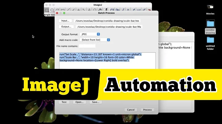 Batch processing in imageJ, automatic image processing with a single click|microscope image analysis