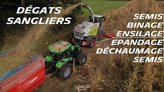 ??CATASTROPHE les dégâtsON ENSILE chez Théo | SEMIS-BINAGE-ENSILAGE-EPANDAGE-DECHAUMAGE-SEMIS  ?