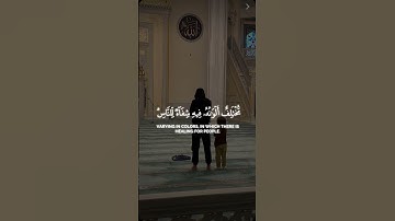 وأوحى ربك إلى النحل أن اتخذي من الجبال بيوتا | محمد اللحيدان  سورة النحل