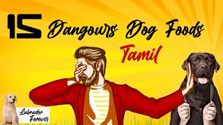 நாய்களுக்கு கொடுக்க கூடாத  15 உணவுகள் |15 Dangerous Foods for dog?