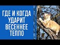 В Украине потеплеет до +16° - прогноз на неделю от синоптика Натальи Диденко