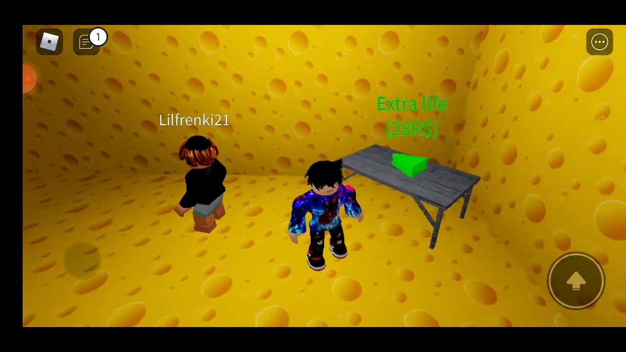 GIOCO A ROBLOX CON IL MIO MIGLIORE AMICO CHE È UN TIKTOKER FAMOSO ...