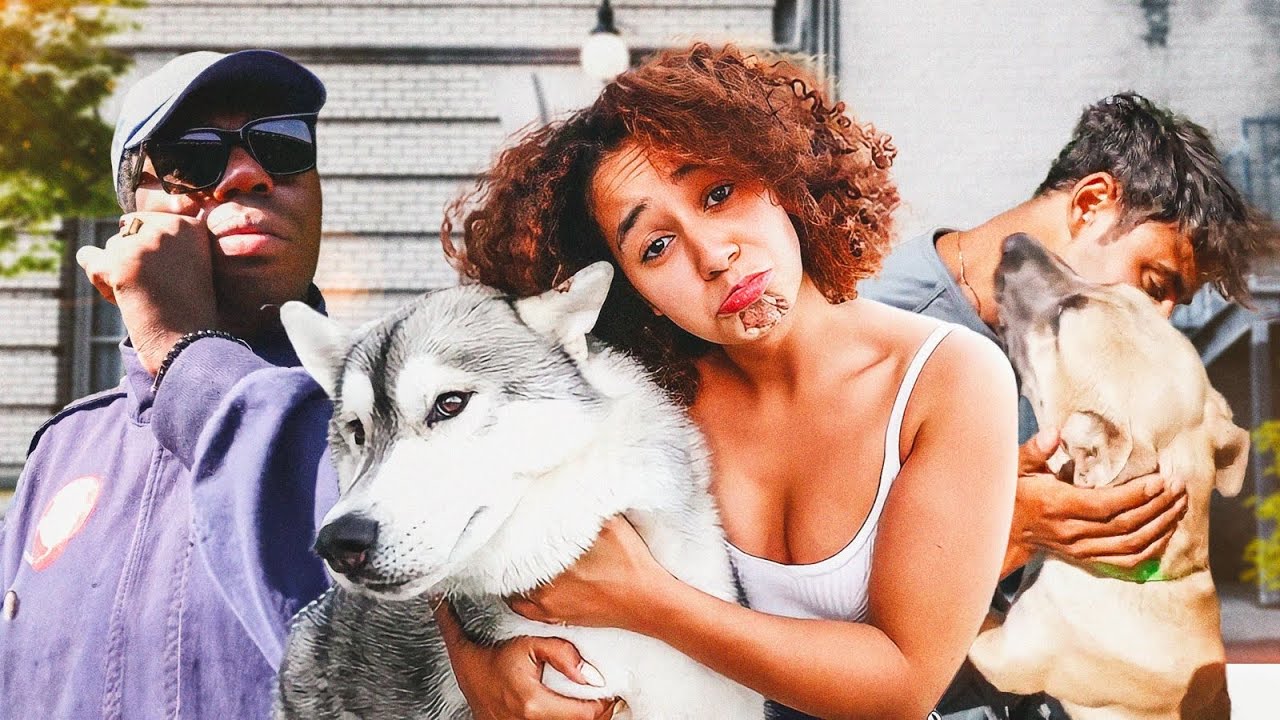 un nouveau membre dans la team 🥹