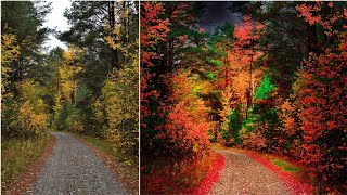 Fun Editing With Lightroom And Snapseed 2023 | Colour Effect Lightroom Presets screenshot 3