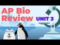 Ap biology unit 3 review
