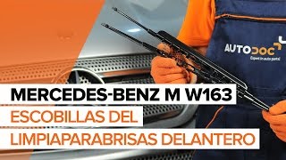 Cómo reemplazar Escobillas de limpiaparabrisas MERCEDES-BENZ M-CLASS (W163) - tutorial