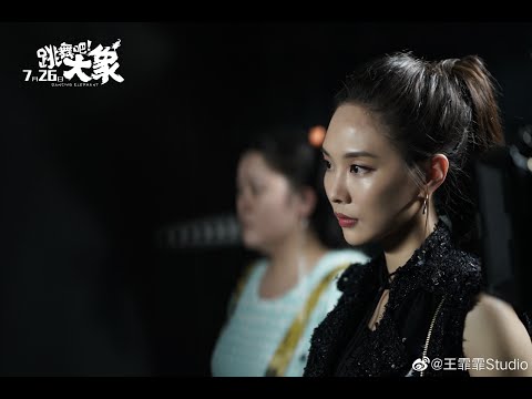 DE Fei Cut