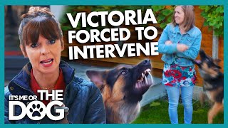 Victoria forced to intevene when German Shepherd Mouths MidTraining | It's Me or The Dog