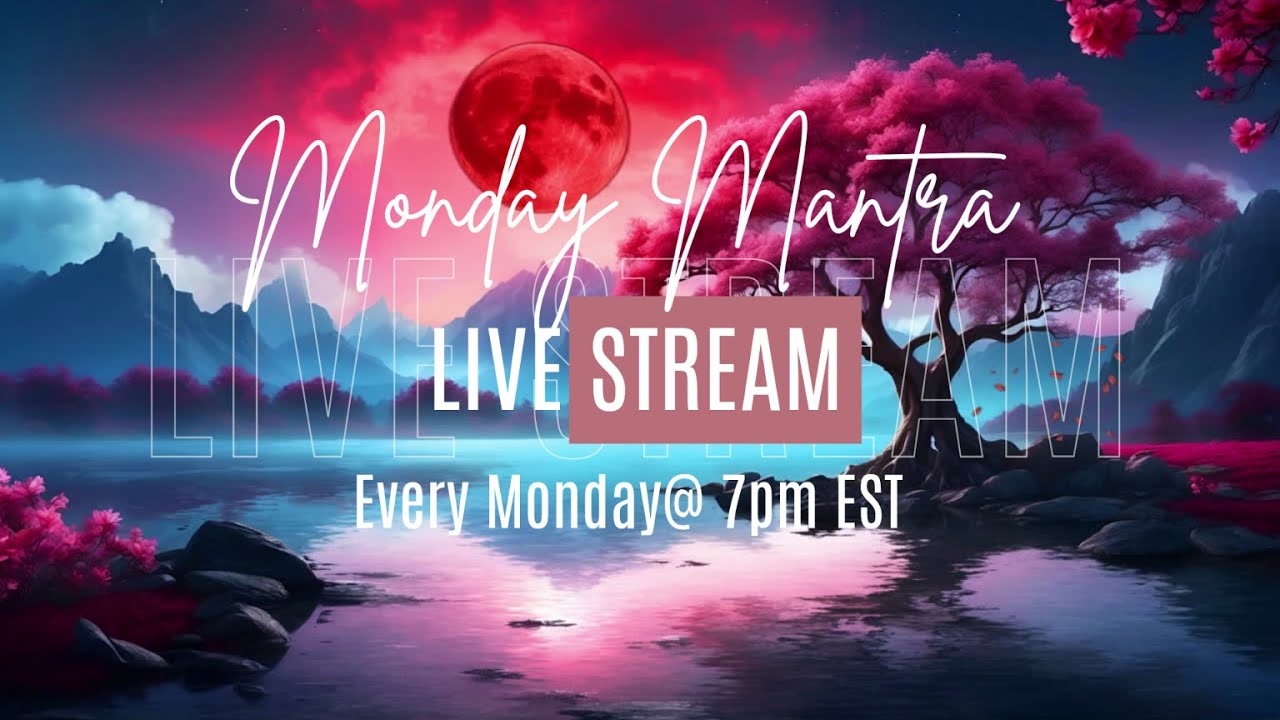 The EXCLUSIVE VIBRATION Hack Fii Price Uses to Triple Energy on Mondays REVEALED!