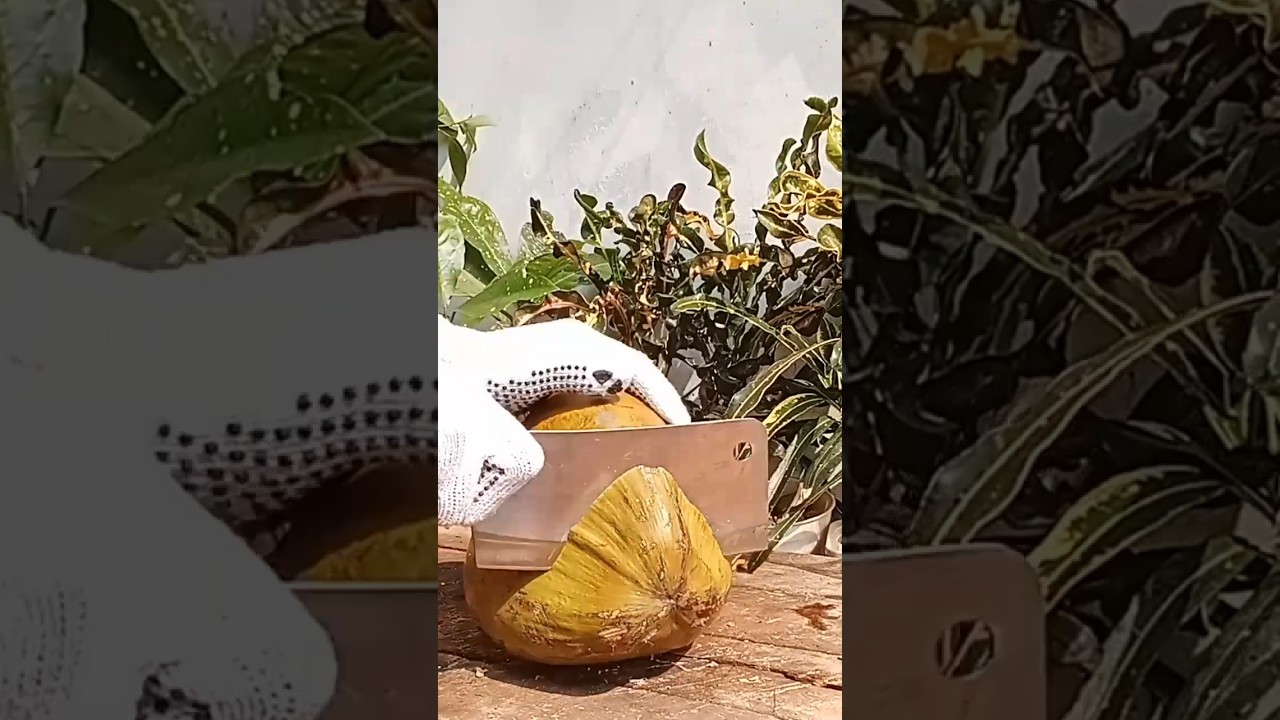 the Sliced Coconut Peeling Styles, coconut cutting skills 
