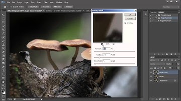 Magic Mushroom Photoshop Action by Captain Kimo