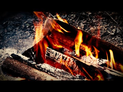 ASMR 지금은 불멍 타임!!🔥심신안정과 생각정리에 탁월한 불 바라보고 멍 하게 있기♡현장음, 장작 타는 소리, Relaxing Sounds to help you sleep