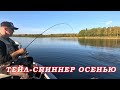 ТЕЙЛ СПИННЕР ОСЕНЬЮ! Просто нужно изменить проводку! Рыбалка на щуку и окуня осенью!