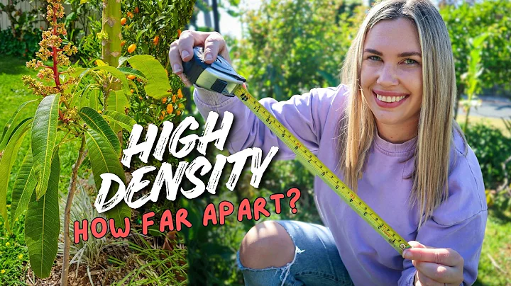 FRUIT TREE SPACING in the suburbs (high-density) 🌳 3 Things You Must Consider!