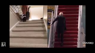 Joe Biden VS Rabbit falling 🐰