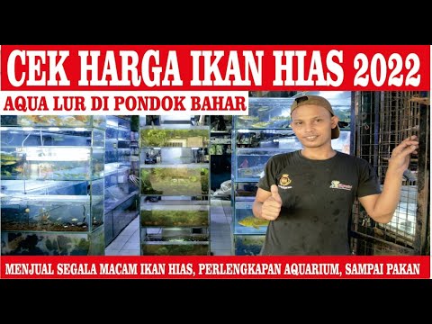 CEK HARGA IKAN HIAS 2022 KIOS TERLENGKAP DI CILEDUG TANGERANG ~ AQUALUR